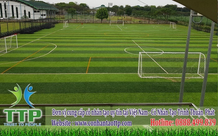 Trình Thuận Phát thi công sân thể thao cỏ nhân tạo